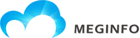 Meginfo Blog - Salesforce Partner